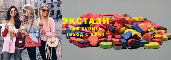 spice Богородицк