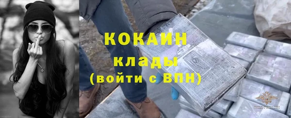 spice Богородицк