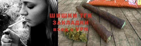 гидра Богданович