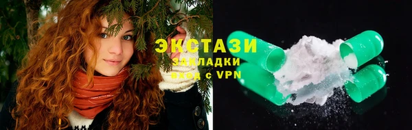 spice Богородицк