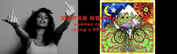 spice Богородицк