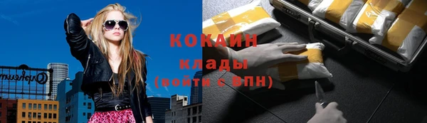 spice Богородицк