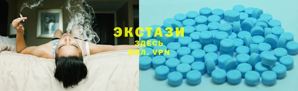 spice Богородицк