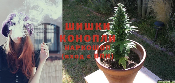 гидра Богданович
