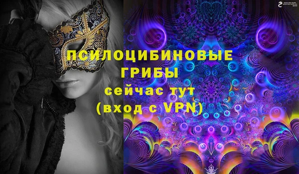 гидра Богданович