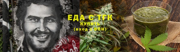 spice Богородицк