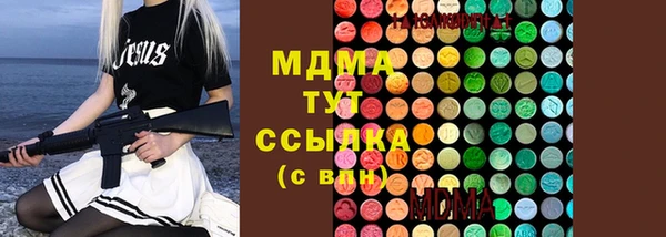 spice Богородицк